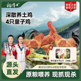 杨博士【童子鸡】安徽皖南散养土鸡小公鸡新鲜鸡肉1只净重1.3斤源头直发 3只童子鸡丨赠一只原切童子鸡