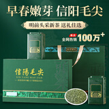 天洲溪绿茶信阳毛尖茶叶250g新茶嫩芽春茶 茶叶礼盒装送礼品长辈