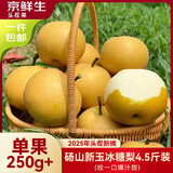 京鲜生安徽砀山新玉冰糖梨 4.5斤装 单果250g+ 生鲜水果源头直发