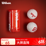 Wilson威尔胜2025蛇年限定网球 红色罐装2只装WR8216401001