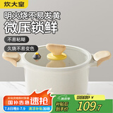 炊大皇 汤锅 微压不粘快煮煲汤煮汤复底汤锅 电磁炉电陶炉通用 22cm