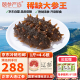 颐参严选 大连鲜食海参4-6头/500g 即食辽参 营养滋补海鲜源头直发包邮