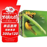 生命的故事 第1辑（共10册 ）蝌蚪小龙虾西瓜虫螳螂蚂蚁瓢虫 3-6岁昆虫高清实拍科普百科绘本 自然科学知识课外阅读《人民日报》推荐