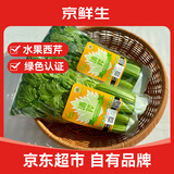 京鲜生云南高原水果西芹 净重4斤装 新鲜采摘 源头直发 