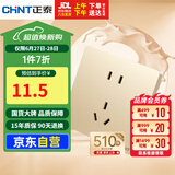 正泰（CHNT）开关插座墙壁面板家用86型面板一联二极三极 五孔插座NEW6C香槟金