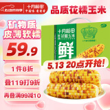 十月稻田 花甜糯玉米4.4斤(220g*10根)  杂粮礼盒 早餐零食 微波即食