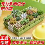 芷郁多肉专用花盆创意小绿方组合树脂加厚控根透气塑料植物种植盆 6格