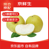 京鲜生 精选砀山梨老树酥梨10斤 单果重250-350g  水果礼盒