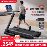 麦瑞克（MERACH）跑步机家庭用爬坡折叠健身房智能运动器材走步机幻影X5 MR-T10B2