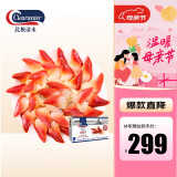 Clearwater北极清水加拿大熟冻北极贝1kgM码 51-70只 0添加餐饮装 礼盒装