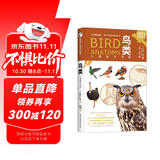 鸟类：一切为了飞行（从恐龙到蜂鸟，一本书回溯亿万年鸟类演化史；图文并茂，从解剖结构到生理功能，诠释鸟类适应性演化之果，揭开鸟类飞行的奥秘。）