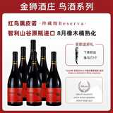 醉鹅娘金狮酒庄如饴火烈鸟酒红鸟黑皮诺智利进口干红葡萄酒750ml*6箱装