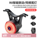 洛克兄弟（ROCKBROS）自行车尾灯USB充电骑行安全夜骑车灯警示灯公路山地车尾灯配件 智能同频刹车尾灯 RO (单个)