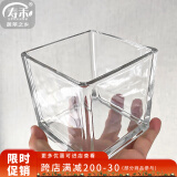 寿禾 透明水培玻璃瓶花盆种球方形加厚种植杯  10*10cm方形水培玻璃瓶
