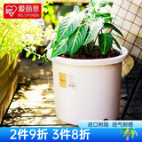 爱丽思（IRIS）Deepot花盆加厚树脂控根圆口绿萝绣球蔷薇月季塑料花盆 7号白色(口径约23.7cm)无盆托