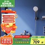 科勒（KOHLER）挂墙式淋浴花洒套装浴缸龙头家用手持花洒淋浴器 28580 带下出水