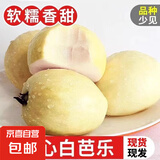黄金奶油白心芭乐番石榴冰淇淋口感当季现摘新鲜水果整箱新鲜水果 净重4.5斤