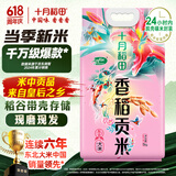 十月稻田 当季新米 香稻贡米 东北大米 10斤（香米 粳米 5公斤/十斤）