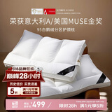 康尔馨五星级酒店羽绒枕头 95%白鹅绒功能分区枕芯 中枕 72*46cm
