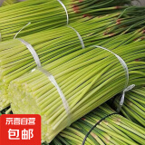 京喜自营新鲜蒜苔现采现发新鲜蔬菜京东超市同款 新鲜蒜苔 3斤
