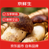 京鲜生云南特产鲜菌菇【新鲜姬松茸】 净重1斤 煲汤火锅食材 源头直发