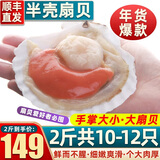 首鲜道 国产半壳大扇贝鲜活冷冻海鲜 半壳大扇贝1000g 10-12个