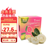京鲜生 白心奶油芭乐 番石榴 轻微红点 净重3斤 单果150g+ 水果礼盒