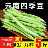 云南四季豆新鲜现摘云南长扁豆角农家应当季蔬菜芸豆现摘菜豆 新鲜四季豆4斤带箱