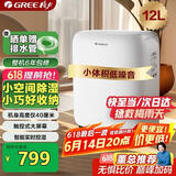 格力（GREE）【低噪小体积】除湿机/抽湿机家用除湿量12升/天单间参考面积24平24H定时除湿器DH12EN