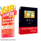 黑皮系列课外阅读：稻草人（中国儿童文学的开山之作）三四年级阅读