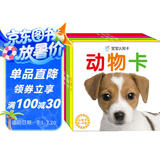海润阳光 宝宝认知卡套装 动物卡+认物卡+识车卡+果蔬卡 全4册 中英双语撕拉卡片亲子互动游戏 撕不烂婴幼儿早教卡科学启蒙认知识物卡