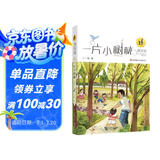 王一梅漂流屋系列：一片小树林/王一梅长篇纪实小说，乡村小学里的教育梦