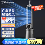 西屋（Westinghouse）无叶风扇家用办公室空气循环扇直流变频落地扇风扇塔扇立式电风扇WTH-WY006