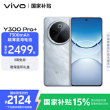 vivo Y300 Pro+ 12GB+512GB 星空银 国家补贴 7300mAh蓝海电池 第三代骁龙7s 金刚磐石架构 AI手机