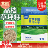 北蔬 高档草坪种子护坡草籽矮生四季青庭院绿化 百草丰茂草坪种子1斤