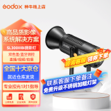 神牛补光灯sl300wbi双色温摄影常亮灯直播补光灯视频直播补光灯直播人像拍照美颜柔光灯影视灯 SL300IIIBi【单灯标配】 官方标配