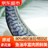 往牧 挪威青花鱼6片 生鲜鲭鱼 新鲜冷冻 日料烤鱼 920g/2袋