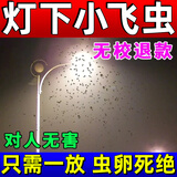 灯下摆摊驱小飞虫灭杀神器灯光水果摊厨房下水道小飞虫专用喷剂 一盒装【苍蝇一闻死】