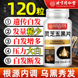 同仁堂五黑灵芝乌黑片养黑发片生发满头白发黑芝麻桑椹中老年人