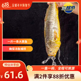 三都港 鲜冻原条黄花鱼净重2斤/2条 宁德大黄鱼 海鱼 生鲜 烧烤