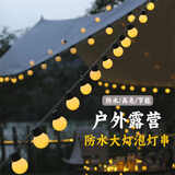 韩猫氛围灯露营灯夜市摆摊灯灯串led彩灯野营天幕帐篷装饰灯户外防水 【5cm大圆球】10米40灯-插电款