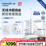 洁碧（Waterpik）冲牙器家用台式洗牙器水牙线洁牙器家用预防牙结石小魔盒GT17-12白礼物 生日礼物