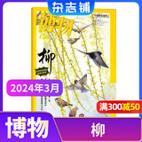 博物杂志 青少年科普百科知识 儿童科普大百科期刊 中小学生通识教育课外阅读 中国国家地理青春版杂志铺单本/半年/全年订阅2026/2025年1月-6月/7月-12月任选非过刊博物君远古动物园 现货博物