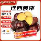 迁西鲜板栗2025年新生板栗大颗粒特选栗子新鲜例子甜栗子河北唐山特产 迁西老树净重 5斤 大粒