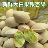 新鲜大白果老树银杏果糯白果仁天然无漂白带壳生白果子粒大饱满 1斤果(230粒左右一斤)