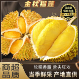 松筱金枕榴莲新鲜整个果【JD顺丰/多地次日达】带壳水果进口应季水果 5-6斤精选好果型【1-2个果】