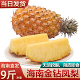 译优农金钻凤梨海南新鲜热带水果当季大果无眼金菠萝手撕凤梨 净重4.5-5斤【实惠装】海南直发