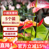 花沃里花架植物爬藤架植物支撑杆阳台绿植防倒伏支撑架圆环型60CM5个装