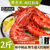 森农乐红魔虾新鲜刺身级鲜活超大生吃海鲜水产舟山船冻特大号海虾甜虾 1000g(净重)  15-17cm【12-14只/斤 特大满足】