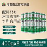 河套雪花面挂面 面条营养早餐方便速食  劲道爽滑400g凉面汤面 雪花挂面 400g*8盒